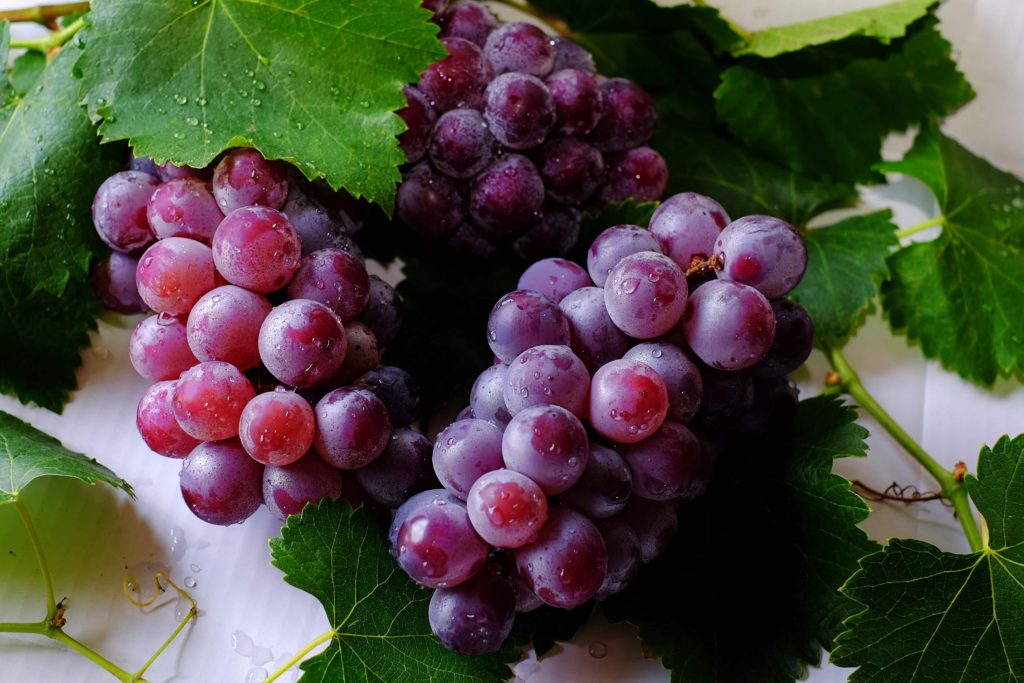 grapes power food against cancer oliver weiss clinic